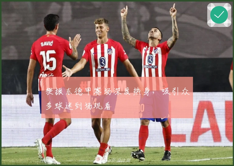 樊振东德甲赛场深度热身，吸引众多球迷到场观看