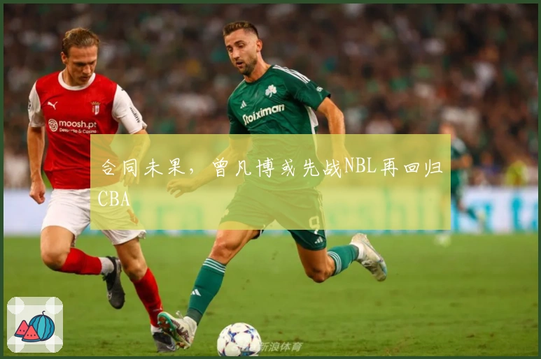 合同未果，曾凡博或先战NBL再回归CBA