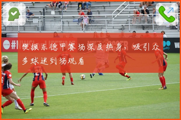 樊振东德甲赛场深度热身，吸引众多球迷到场观看